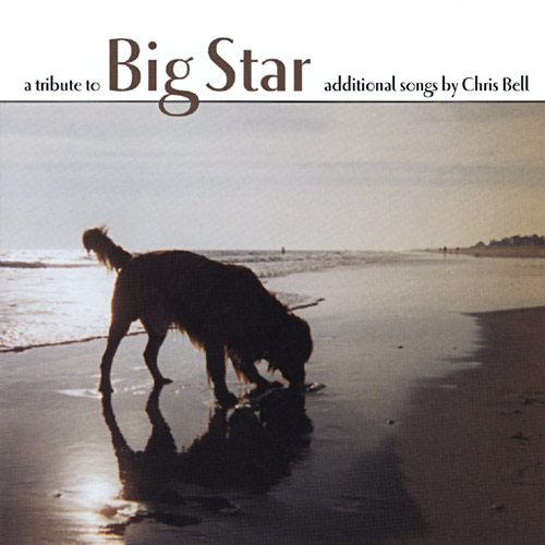 A Tribute To Big Star Cover