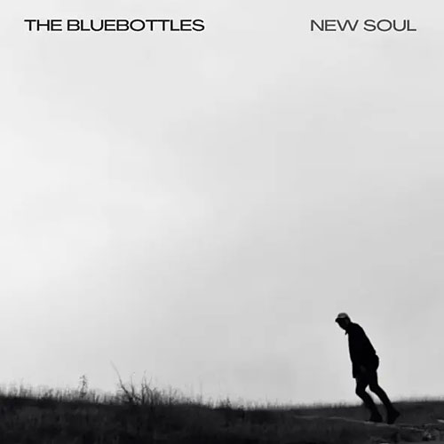 The Bluebottles - New Soul Cover