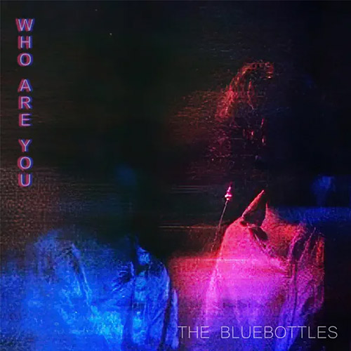 The Bluebottles - Who Are You Cover