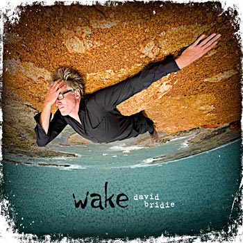David Bridie - Wake Cover