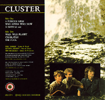 The Crystal Set - Cluster Back Cover