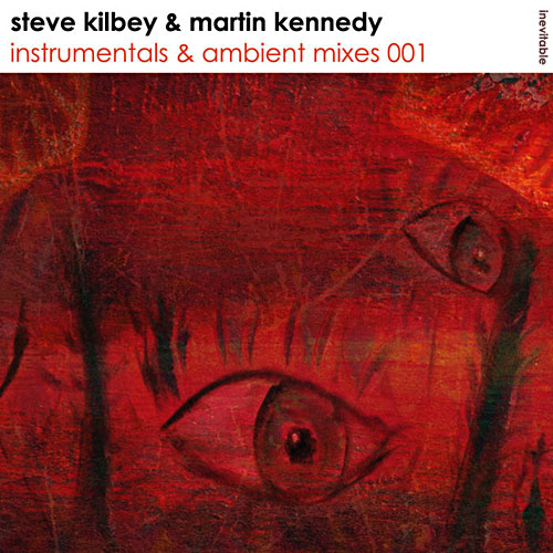 Steve Kilbey & Martin Kennedy - Instrumentals & Ambient Mixes 001 Cover