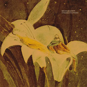 Regular John - Strange Flowers Cover