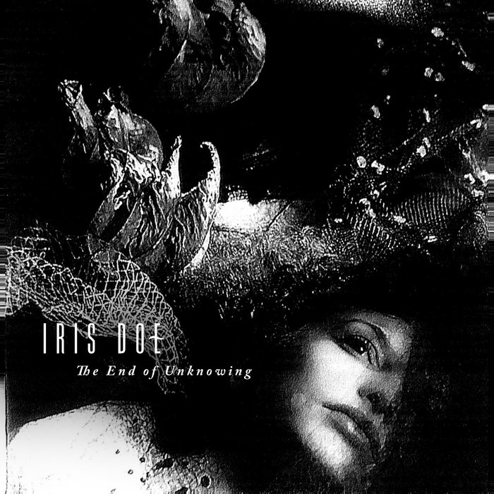 Iris Doe - The End of Unknowing Cover